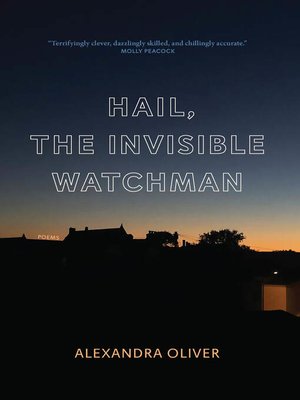 cover image of Hail, the Invisible Watchman